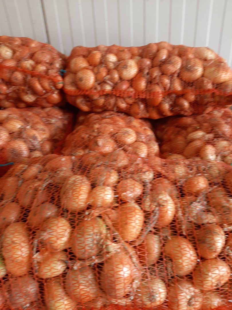 Sprzedam cebule Stuttgarter Reisen ręcznie zbierane pakowane w worki 20 kg
