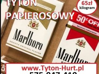 Zamów u nas Polską machorke sklepowej jakości, czysty, suchy,