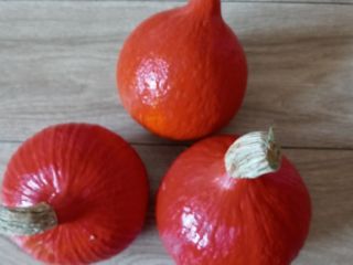 Sprzedam dynie Hokkaido Orange.Małopolska,powiat chrzanowski.Waga od 0,80do2kg. Tel do