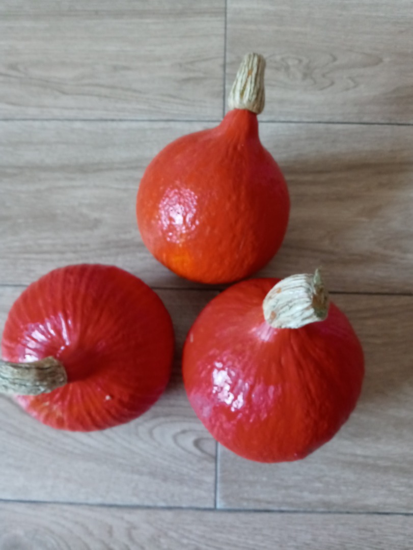 Sprzedam dynie Hokkaido Orange.Małopolska,powiat chrzanowski.Waga od 0,80do2kg