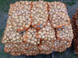 Sprzedam Cebulę workowaną 70 gr za kg, wielkość worka