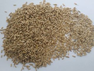 Złoty Len 22-66 t w cenie 850 EUR/t; -