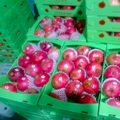 Granat Rubinowy Najwyższa jakość irańskich ogrodów w rozsądnej cenie