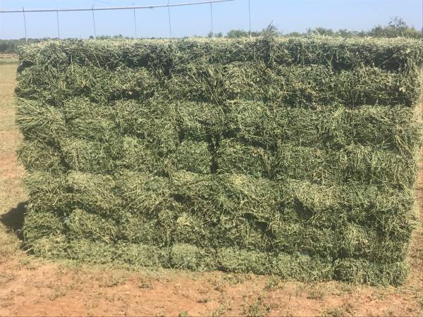 BALE ALFA Wysokiej jakości bele lucerny Waga: 750 & 800 kg – 400 kg (na zapytanie) Długość: 2,20 - 2,30 m Szerokość: 1 – 1,1 m Wysokość: 80 m Białko: min 17%
