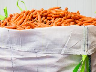 Cena odbioru wynosi 0,15 €/kg