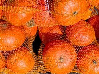 Dynia Hokkaido bez nawozu bez oprysków ilość 15ton