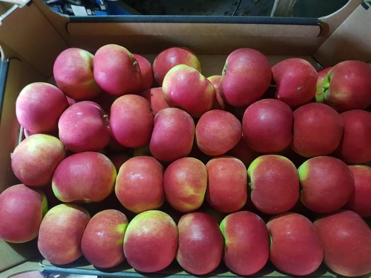 Jabłka Golden Delicious, Gala Schnico, RedJonaprince Select, Dark Ligol, Empire, Sampion i inne