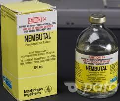 Kup Nembutal Pentobarbital Sodium Wszystkie formy Nembutalu zawierają; zadzwoń do dr Alan * Pijalny Nembutal Pentobarbital zmieszany ze słodzikami, aby uniknąć