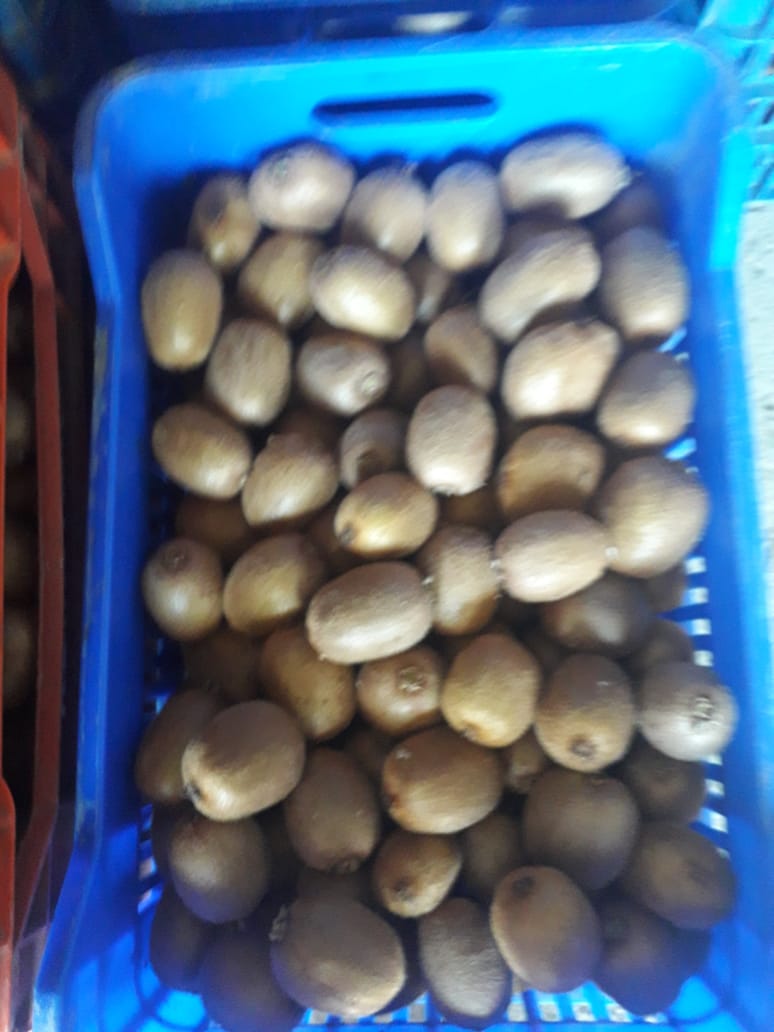 Od 20 lat zajmujemy się produkcją owoców kiwi, które tutaj oferujemy do sprzedaży