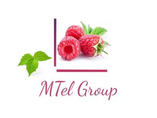 Witam, Mtel Fruit Group, Grupa Firm zajmująca się produkcją,