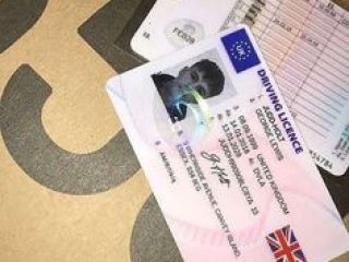 Buy passports,license, visas, permit