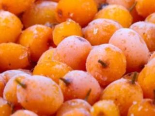 Jagody rokitnika. Produkujemy jagody rokitnika, które są ekologiczne, mrożone