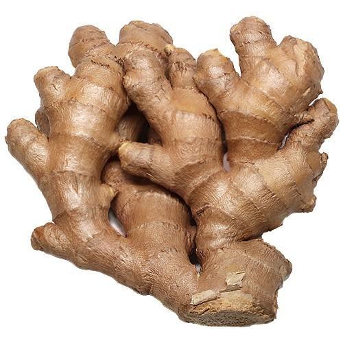 GINGER Imbir może być używany jako świeży, suszony, sproszkowany lub jako olej lub sok