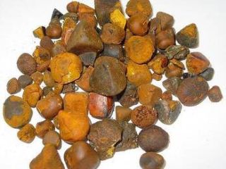 Kamienie żółciowe GALLSTONES są stosowane w medycynie alternatywnej w
