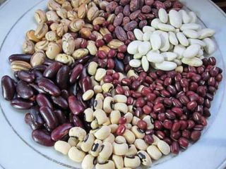 Fasola luzem (produkcja na Ukrainie) Ukraińska firma Bins Naturprodukt