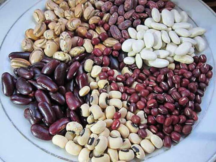 Fasola hurtowa (produkcja na Ukrainie) Ukraińska firma Bins Naturproduct sprzedaje fasolę luzem