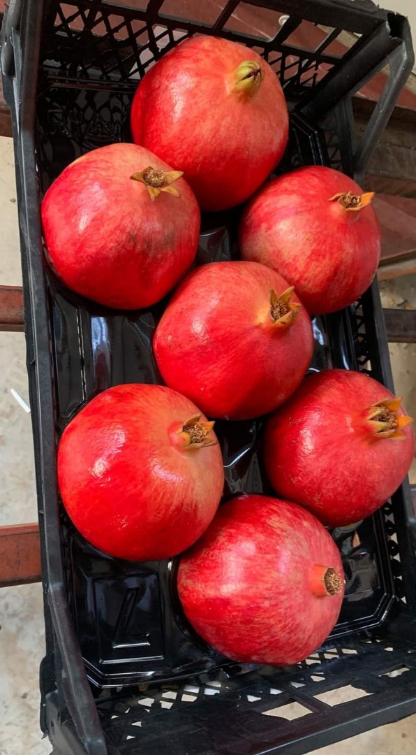 Sprzedam granaty Hicaz/Viyollu (wyprodukowane w Turcji) Hicaz: Kaliber 1/14: 0,9 USD/kg Kaliber 7/9: 1 USD/kg Viyollu: Kaliber 12/14: 0,85 USD Kaliber 7/9: