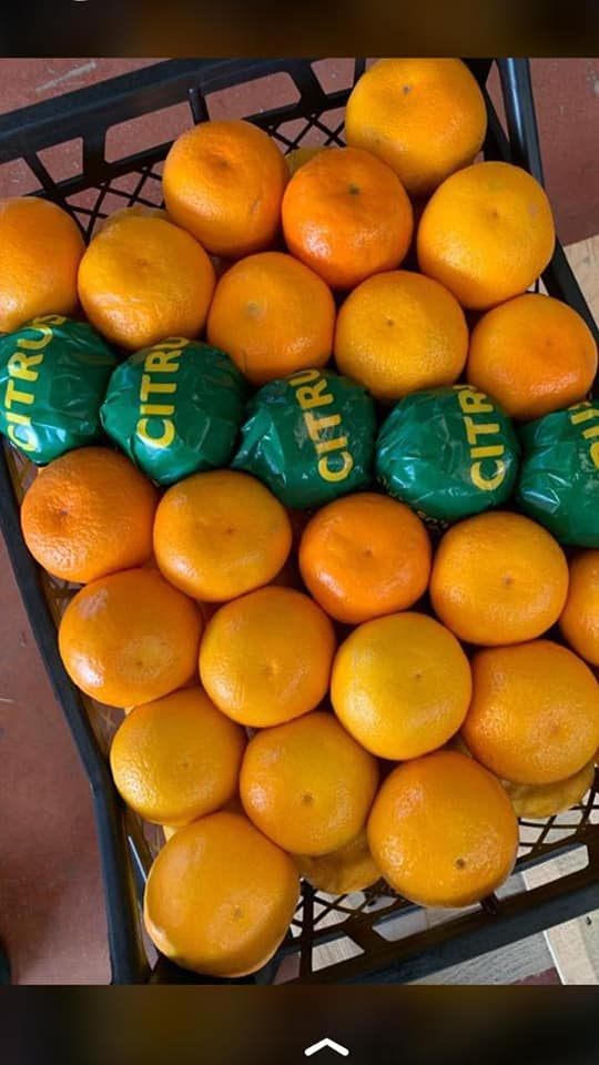 Sprzedam mandarynki Satsuma (produkcja w Turcji) cena 0,55 USD/kg cena na warunkach EXW Antalya Certyfikat jakości Opakowania na życzenie klienta: papier