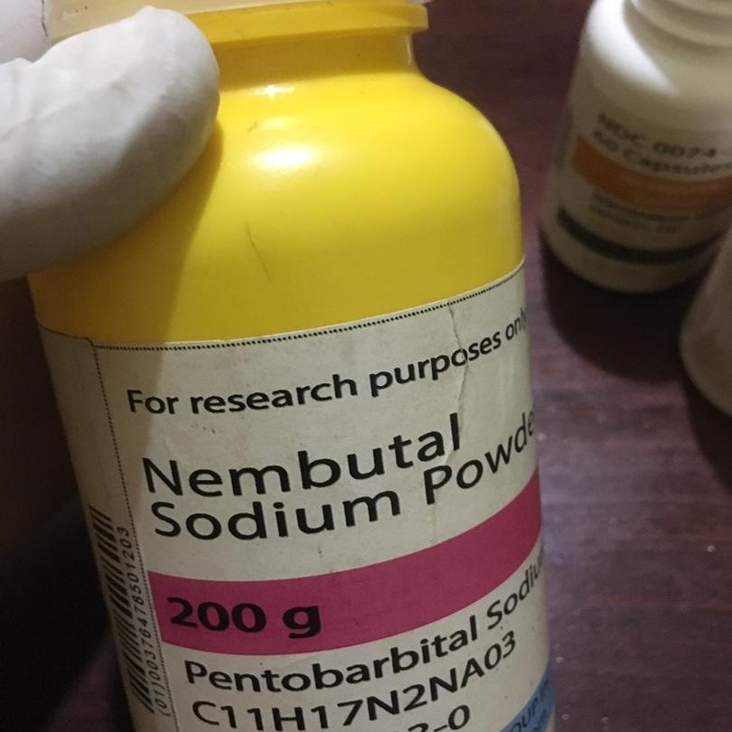 Kup Nembutal, Kup Pentobarbital Sodium Online Nembutal należy do klasy barbituranów i działa jako środek depresyjny lub uspokajający