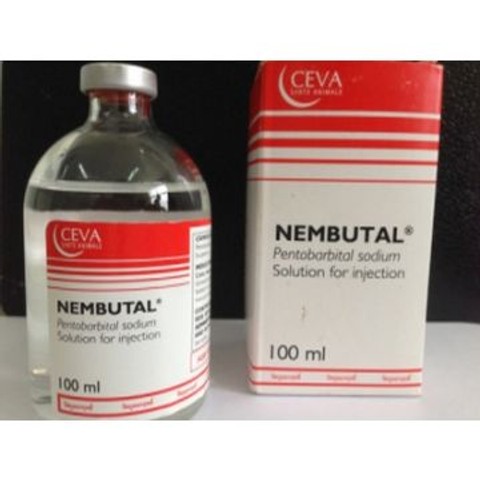 Nembutal Pentobarbital Na sprzedaż Kup bezkontaktowy pentobarbital sodu na receptę od legalnego dostawcy, aby uzyskać więcej informacji na temat zamawiania