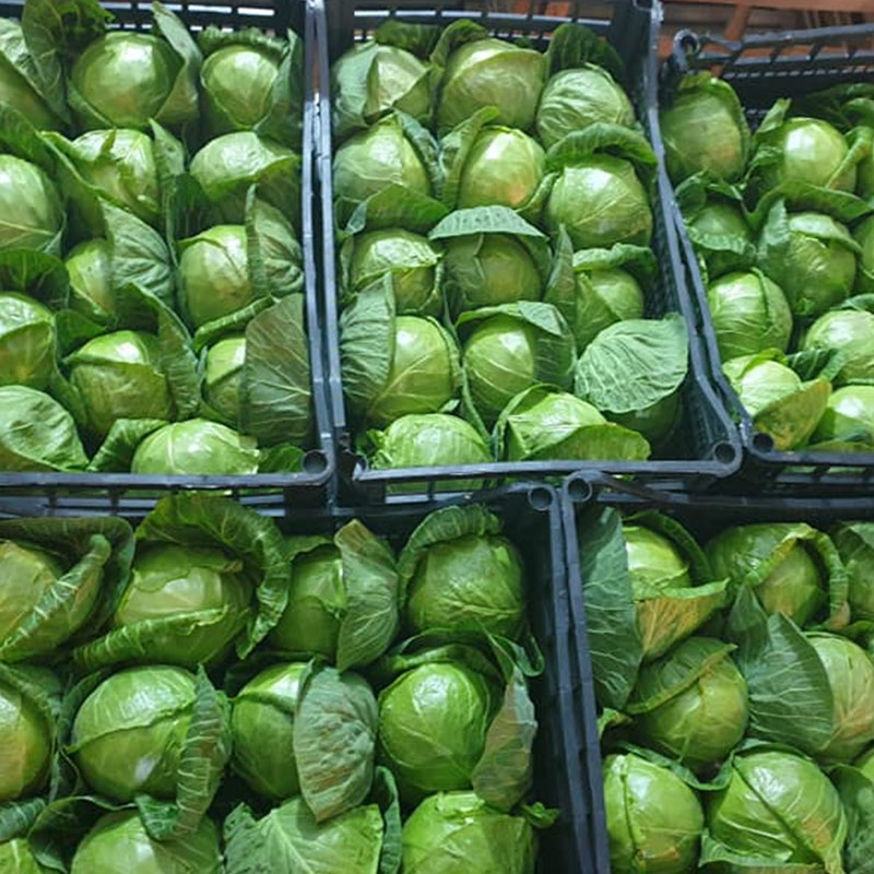 Oryginał pochodzi z Albanii i jest bardzo dobrym produktem