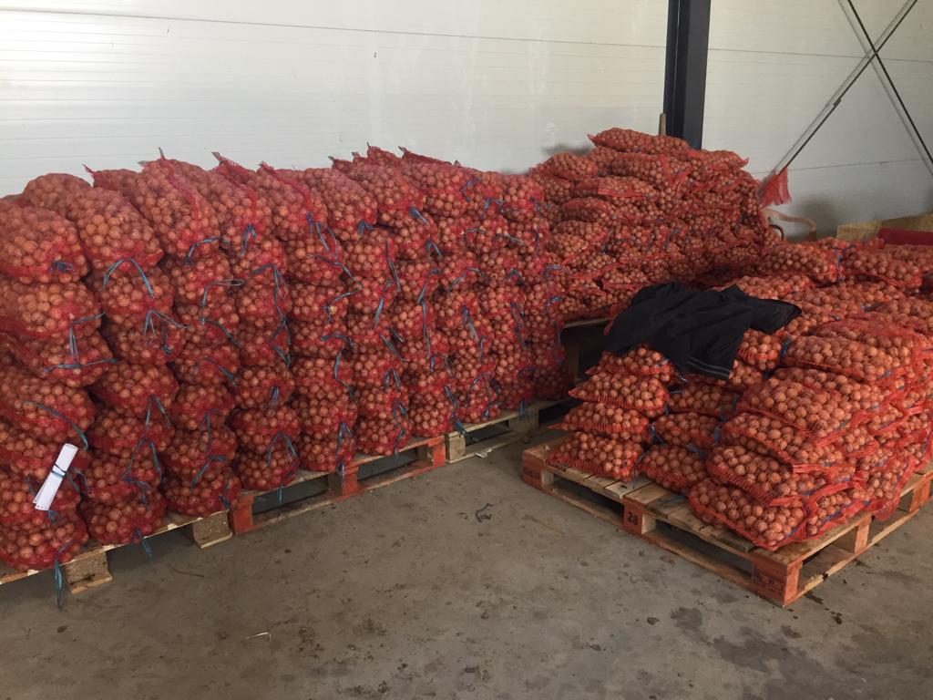 FERMA POMICOLA LUCA SRL - Rumunia Milotai 10 Minimalna ilość 500 kg (2021) - 5-7 ton