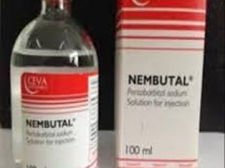 nembutal kup europenembutal na sprzedaż filipiny nembutal na sprzedaż