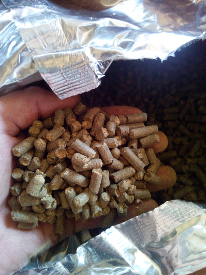 Mam do sprzedania odmiany chmielu ziół - Marynka, Lubelski, Magnum