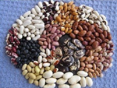 Ukraińska firma Beans Natur Product oferuje do zakupu wysokiej jakości fasolę