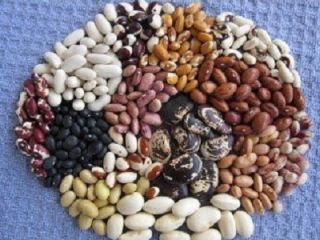 Odmiany fasoli z Ukrainy Ukraińska firma Beans Natur Product