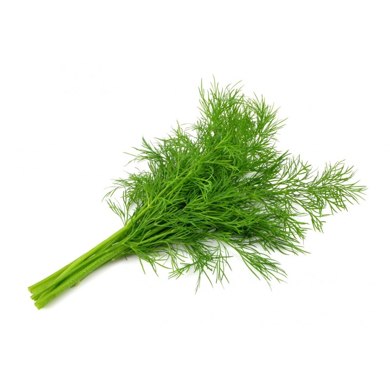 Na sprzedaż koperek 10zl za kg
