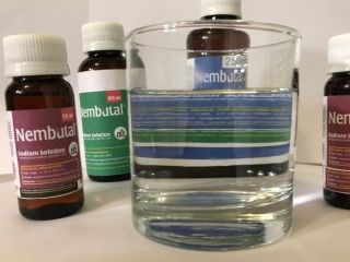 whatsapp +1 (920) 430-0754 Nembutal Eutanazja | Pentobarbital na