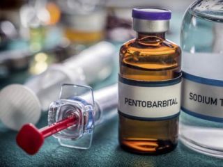 whatsapp +1 (920) 430-0754 Nembutal Eutanazja | Pentobarbital na
