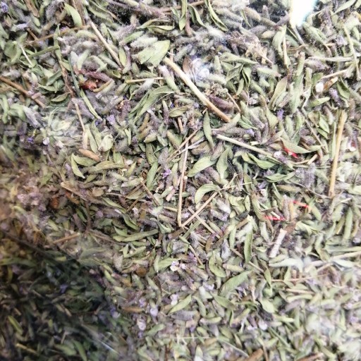 Tymianek naturalny Pochodzi z gwarancją jakości Główny dostawca Od stu kilogramów do 5 ton Wiadomość