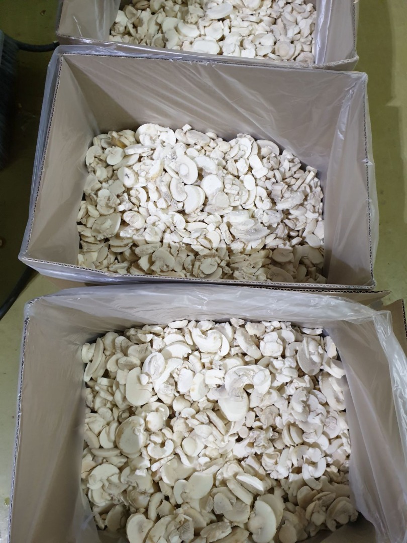 Sprzedam mrożoną pieczarkę z Białorusi