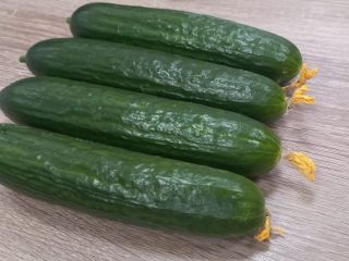 ogórek średni owoc gładka masa, standard z kwiatkiem. Produkcja