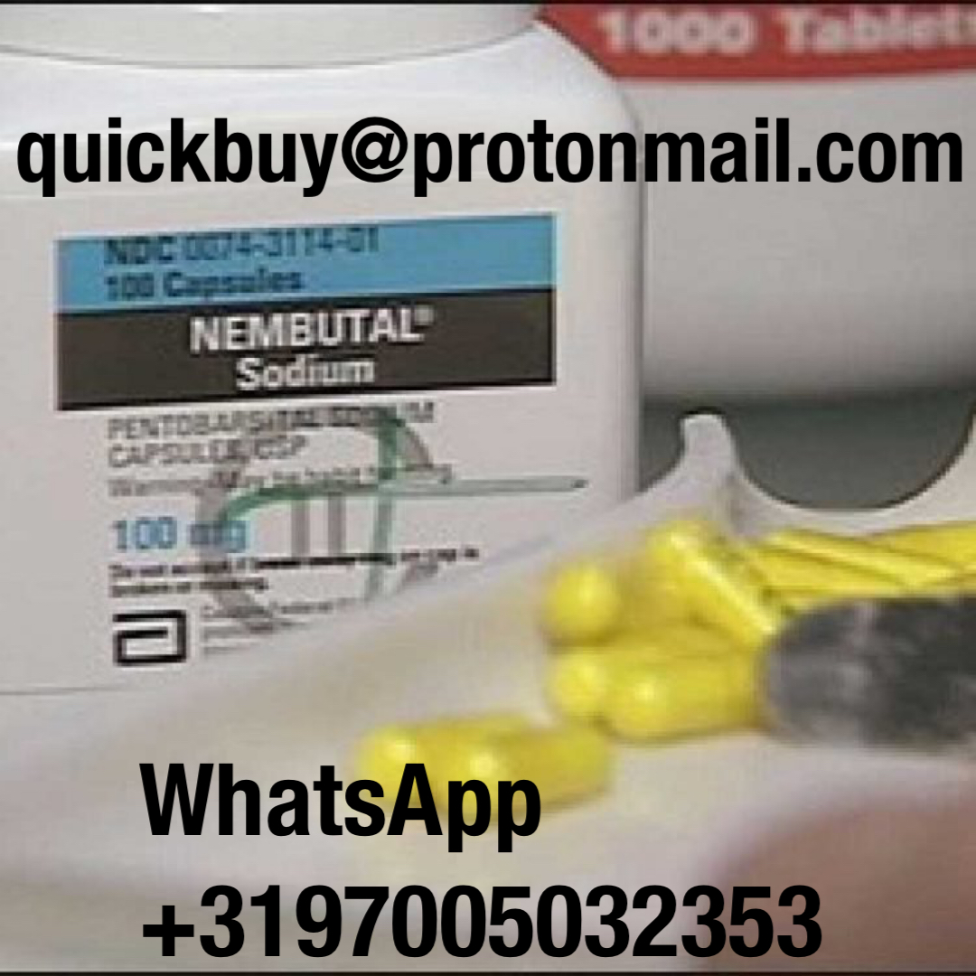 Kup Nembutal, Kup Pentobarbital Sodium Online kontakt Nembutal należy do klasy barbituranów i działa jako środek depresyjny lub uspokajający