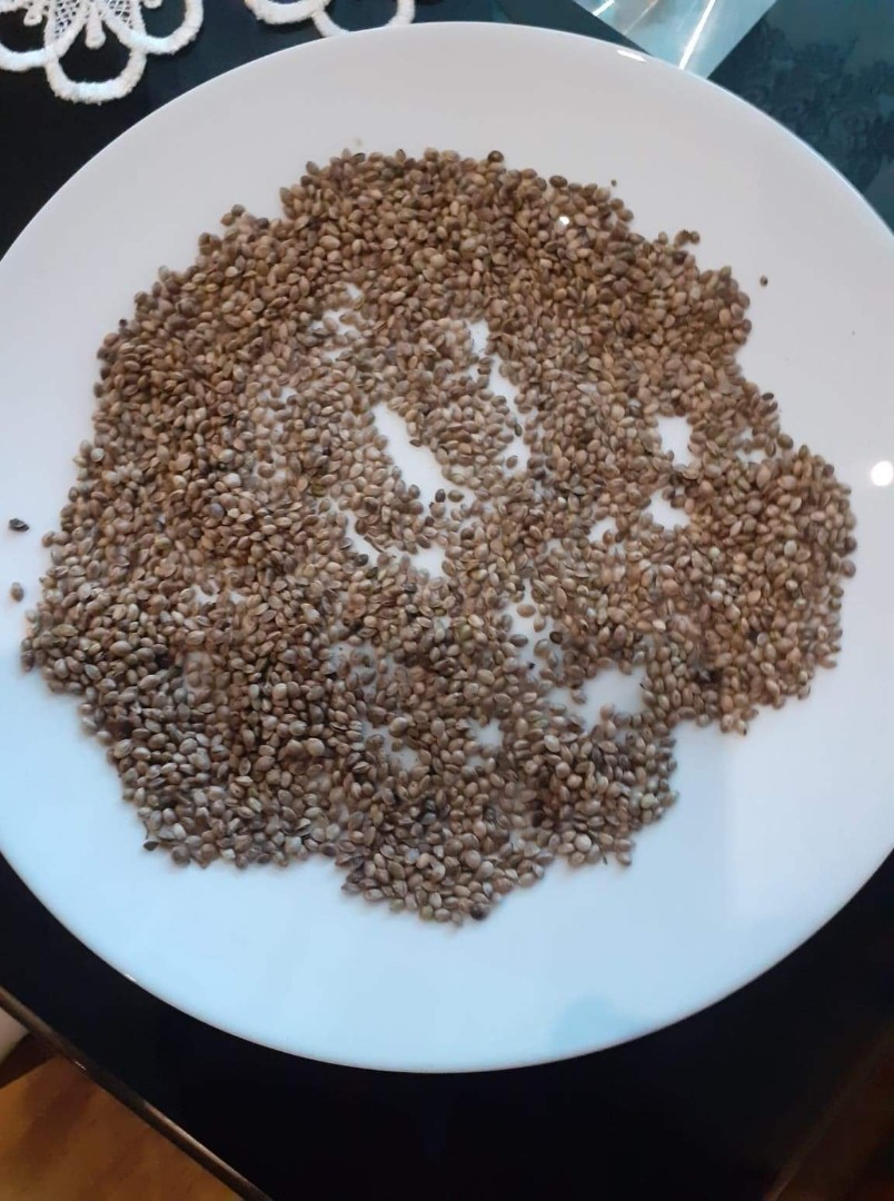 Witam posiadam na sprzedaż około 20t konopi odmiany HENOLA konopie czyszczone 10t 100% czystości zapraszam do kontaktu oraz składania ofert cena do ustalenia