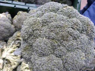 każda sztuka Brocoli to 500 gramów od 1 kg,