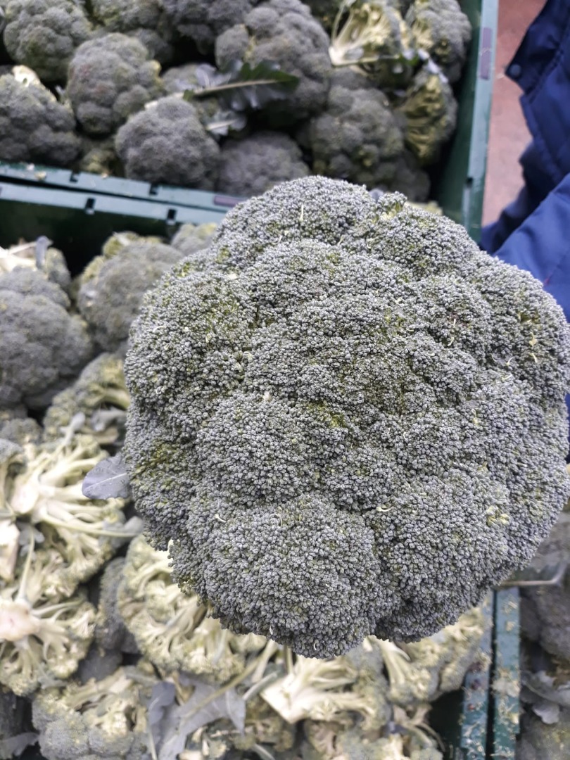 każda sztuka Brocoli to 500 gramów od 1 kg, możemy zapakować nasze Brocoli według specjalnych wymagań naszych klientów, możemy dostarczyć nasze Brocoli w