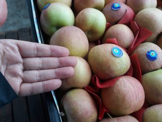 Fuji Apple Ekologiczne #Mr. Orhan Veli K.# #sprzedaż(dodaj)karakaslar(kropka)net# #Mob/