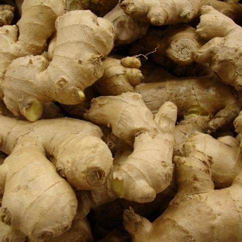 Świeży imbir z Madagaskaru (BIO) Rozmiar: 50, 60,70,80,100 g Minimalne zamówienie: 10-50 ton Kraj pochodzenia: Madagaskar Opakowanie: karton (do negocjacji)