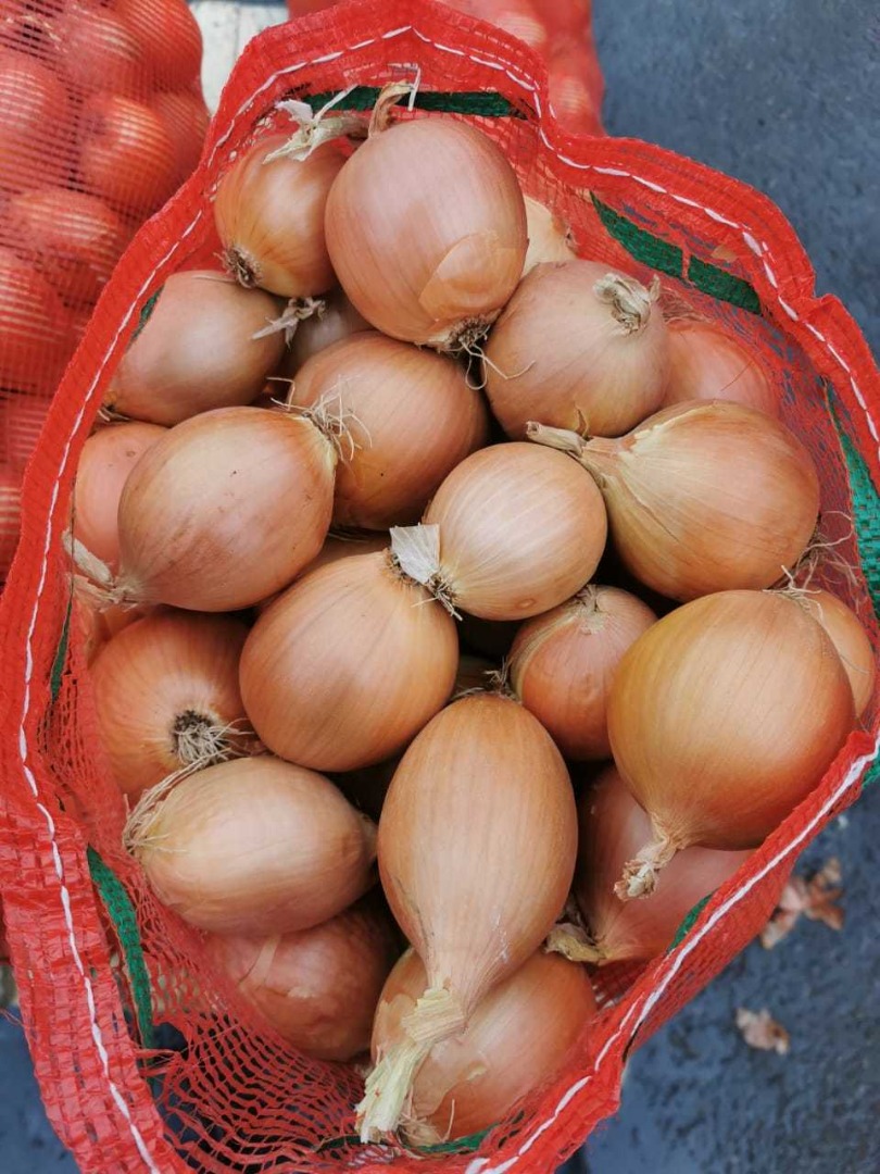 Cebula cebulowa, świetna do gotowania w restauracjach, kawiarniach, cateringu