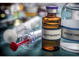 Kup Nembutal Pentobarbital Sodium Online Nembutal należy do klasy
