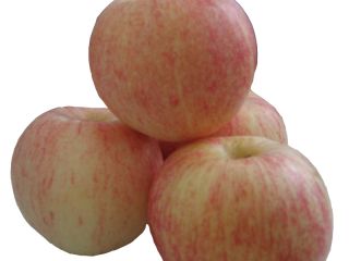 Eksportujemy jabłka takie jak Fuji, Golden Delicious, Granny Smith,