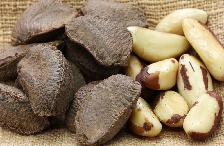 Migdały, orzechy nerkowca, pistacje, orzechy laskowe, orzechy betelu, orzechy laskowe, orzechy brazylijskie, orzechy pekan, orzeszki pinii, orzechy włoskie