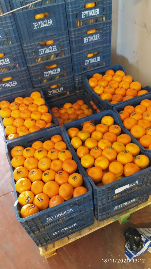 sprzedam hurtowe ilości pomarańczy navaline pochodzacych z ekologicznej uprawy w Turcji