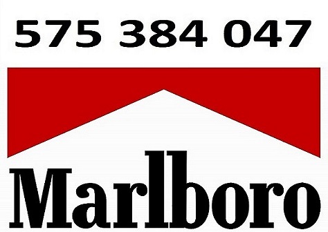 tani tytoń papierosowy Tani tyton papierosowy typu Korsarz, Marlboro, LM, Chesterfield - bez śmieci, szybka dostawa! Cena za 1 kg - 70 zł Dostawa kurierem - 25
