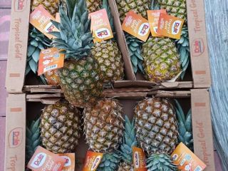Witam, Limonka 4kg-18zl Mandarynka 10kg-27zl Cytryna 10kg-25zl Mango 9szt/4.5kg-