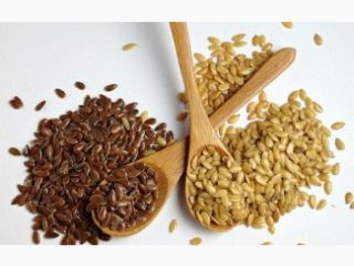 Skupujemy len, sorgo, proso, fasolę przez cały rok. -